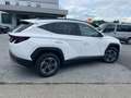 Hyundai TUCSON NX4 Jubile Blanc - thumbnail 2