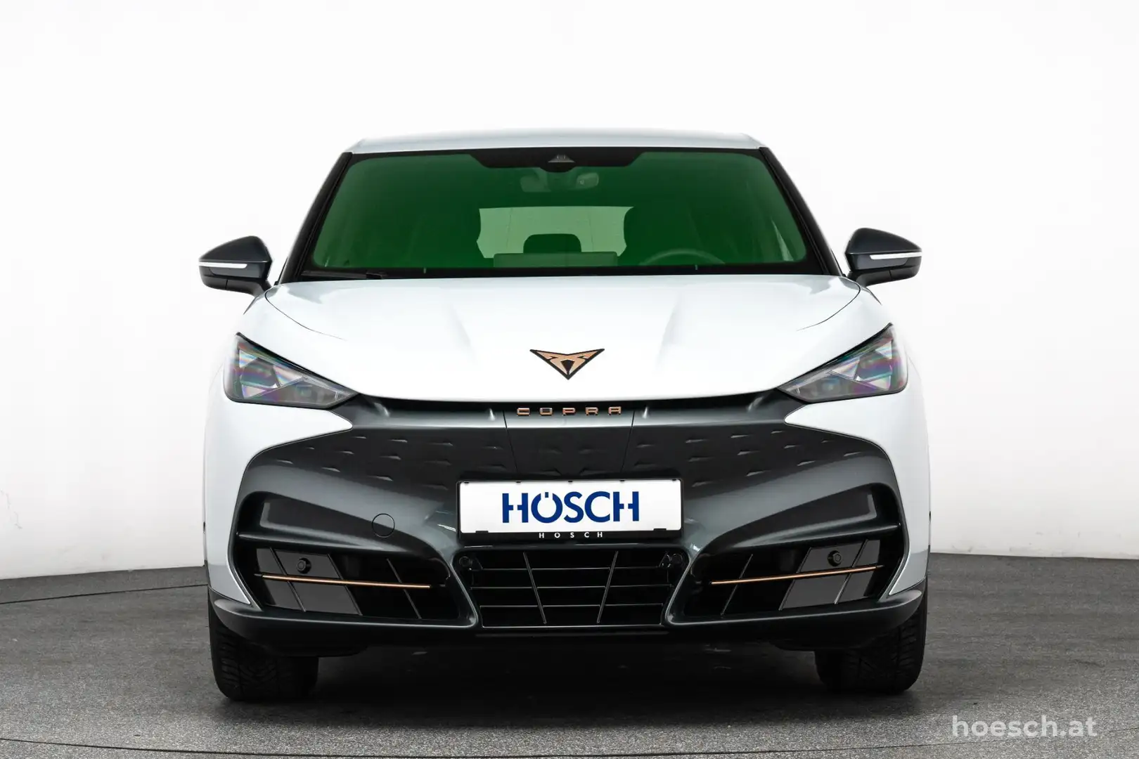 CUPRA Tavascan 82kWh MATRIX AHK ASSISTENZ WIE NEU Argintiu - 2