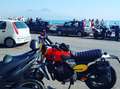 Fantic Caballero 500 500 scrambler  immatricolata aprile 2019 Rosso - thumbnail 5