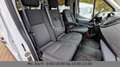 Ford Transit Kombi 350 L3 Trend R-Lift Weiß - thumbnail 12