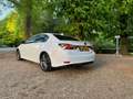 Lexus GS 300 300h F Sport Line Facelift Wit - thumbnail 4