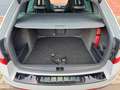 Skoda Octavia 2.0TDI RS 4x4,XENON,PANO,WEBASTO Grau - thumbnail 8
