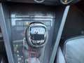 Skoda Octavia 2.0TDI RS 4x4,XENON,PANO,WEBASTO Grau - thumbnail 26