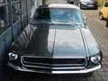 Ford Mustang Fastback V8 Grün - thumbnail 20