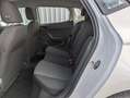 SEAT Ibiza 1.0 TSI GRA+Einparkh.+Shzg.+Klima APP+DAB+VIRT+LED Weiß - thumbnail 11