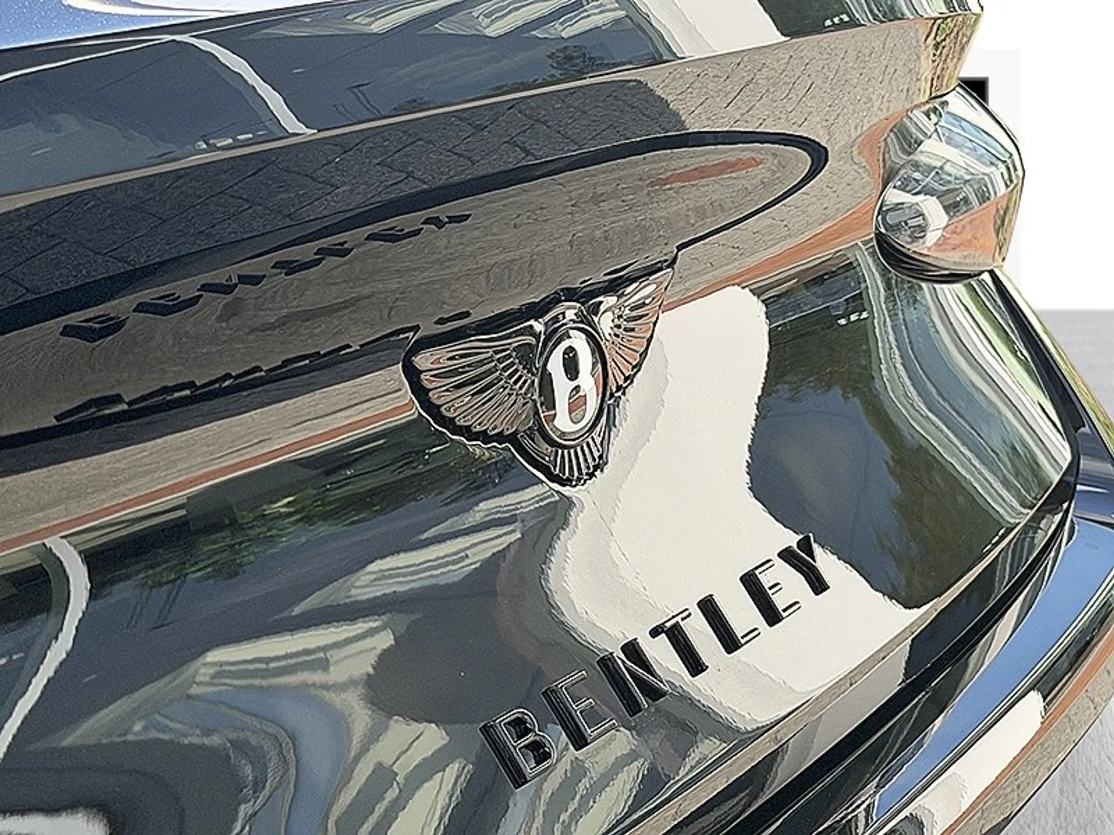 Bentley Continental GT S *Naim*Rotating*MandarinCalipers* — photo 10