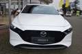 Mazda 3 2.5L e-SKYACTIV G 140ps Weiß - thumbnail 6