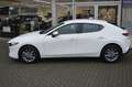 Mazda 3 2.5L e-SKYACTIV G 140ps Weiß - thumbnail 15