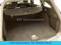 Ford Focus 1.0 EB ST-Line Tur Aut*eKlapp*Ergo-Sitz* Bleu - thumbnail 4