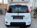 Fiat Panda 1.0 FireFly S&S Hybrid City Life Bianco - thumbnail 5
