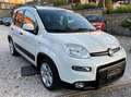 Fiat Panda 1.0 FireFly S&S Hybrid City Life Blanc - thumbnail 3