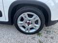 Fiat Panda 1.0 FireFly S&S Hybrid City Life Blanc - thumbnail 16