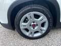 Fiat Panda 1.0 FireFly S&S Hybrid City Life Bianco - thumbnail 13