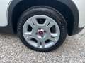 Fiat Panda 1.0 FireFly S&S Hybrid City Life Bianco - thumbnail 15