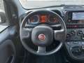 Fiat Panda 1.0 FireFly S&S Hybrid City Life Bianco - thumbnail 8