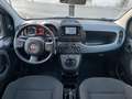 Fiat Panda 1.0 FireFly S&S Hybrid City Life Blanc - thumbnail 7