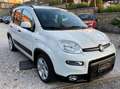 Fiat Panda 1.0 FireFly S&S Hybrid City Life Bianco - thumbnail 3