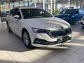 Skoda Octavia Combi 2.0 TDI Style AHK Columbus Kamera Weiß - thumbnail 4