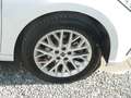 SEAT Ibiza FR 1.0 TSI DSG Sitzheiz/PDCv+h/Kamera/VollLED/ACC/ Blanc - thumbnail 5