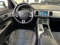 Jaguar XF 2.2d Luxury 200cv - 18" - Tetto - Camera - Keyless Bianco - thumbnail 12