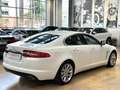 Jaguar XF 2.2d Luxury 200cv - 18" - Tetto - Camera - Keyless Bianco - thumbnail 4
