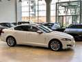 Jaguar XF 2.2d Luxury 200cv - 18" - Tetto - Camera - Keyless Bianco - thumbnail 5