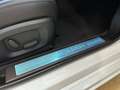 Jaguar XF 2.2d Luxury 200cv - 18" - Tetto - Camera - Keyless Bianco - thumbnail 14