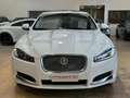 Jaguar XF 2.2d Luxury 200cv - 18" - Tetto - Camera - Keyless Bianco - thumbnail 6