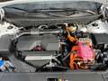 Hyundai TUCSON NX4 Comfort Line 1,6 T-GDi HEV 4WD AT t7hc2-P22/23 Weiß - thumbnail 20