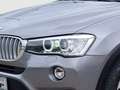 BMW X3 xDrive 20d xLine/NAVI/Bi-Xenon/AHK/HIFI/PDC Grau - thumbnail 5