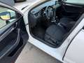 Skoda Octavia Style Limited TDI 4x4 Weiß - thumbnail 15