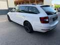 Skoda Octavia Style Limited TDI 4x4 Weiß - thumbnail 5
