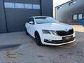 Skoda Octavia Style Limited TDI 4x4 Weiß - thumbnail 1