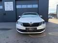 Skoda Octavia Style Limited TDI 4x4 Weiß - thumbnail 2