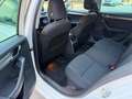 Skoda Octavia Style Limited TDI 4x4 Weiß - thumbnail 14