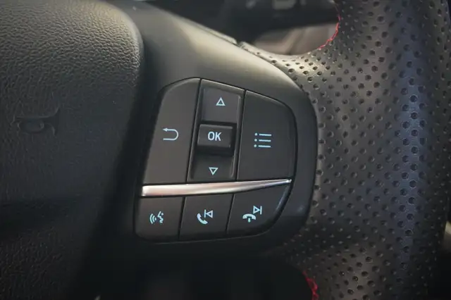 Ford Puma view 13