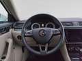 Skoda Superb Premium Edition CANTON COLUMBUS LEDER White - thumbnail 14