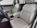 Skoda Superb Premium Edition CANTON COLUMBUS LEDER White - thumbnail 10