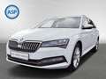Skoda Superb Premium Edition CANTON COLUMBUS LEDER White - thumbnail 2