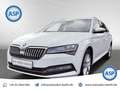 Skoda Superb Premium Edition CANTON COLUMBUS LEDER White - thumbnail 1