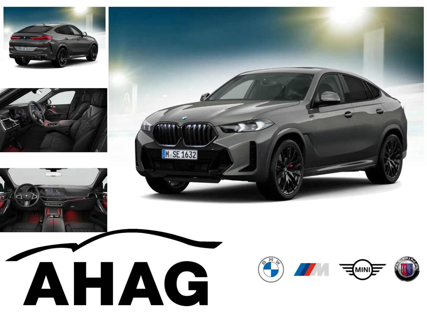 BMW X6 xDrive30d M Sport Navi Tempom.aktiv Panoramadach B Grau - 1