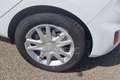 Ford Fiesta Fiesta 1.1 85 CV 5 porte Plus Bianco - thumbnail 7