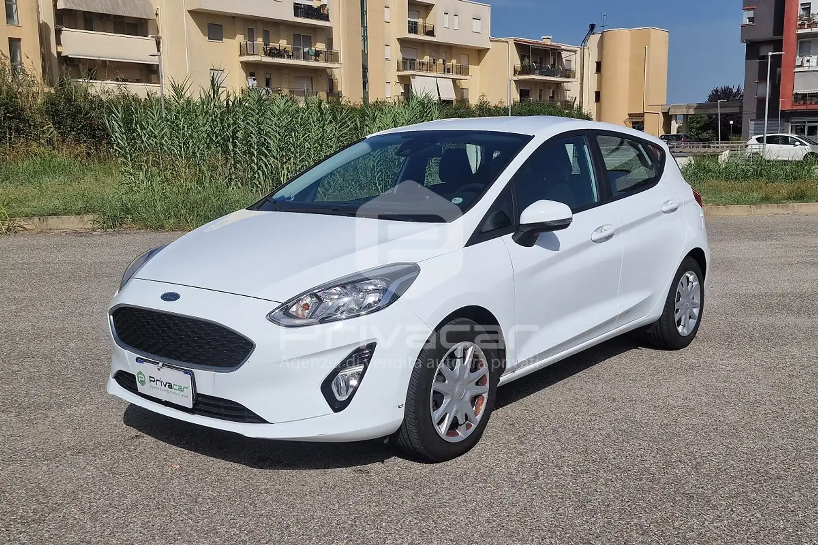 Ford Fiesta Fiesta 1.1 85 CV 5 porte Plus Bianco - 1