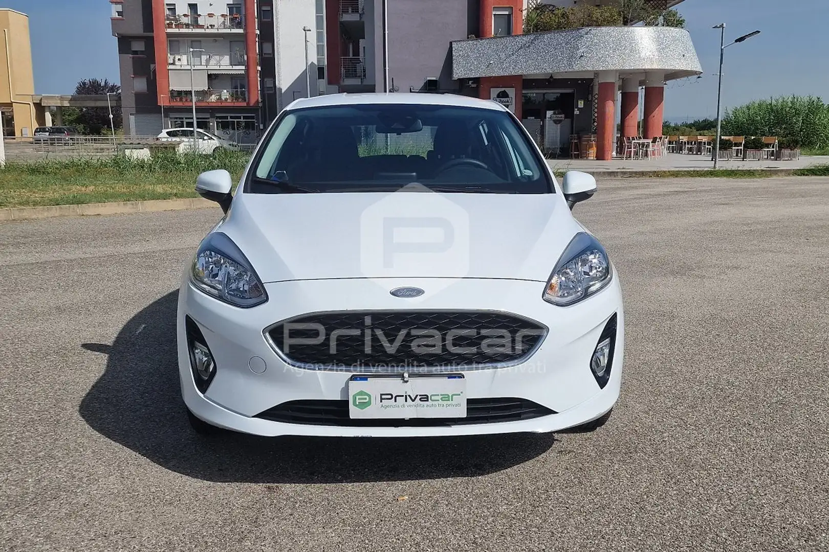 Ford Fiesta Fiesta 1.1 85 CV 5 porte Plus Bianco - 2