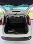 Fiat Panda Panda 1.0 firefly hybrid s Білий - thumbnail 14