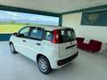 Fiat Panda Panda 1.0 firefly hybrid s Білий - thumbnail 4