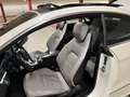 Mercedes-Benz E 350 E 350 BlueEfficiency CDI Aut. Weiß - thumbnail 13
