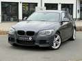 BMW 125 M Packet *Bi-Xenon*Harman-Kardon*SD*SHZ* Grau - thumbnail 1