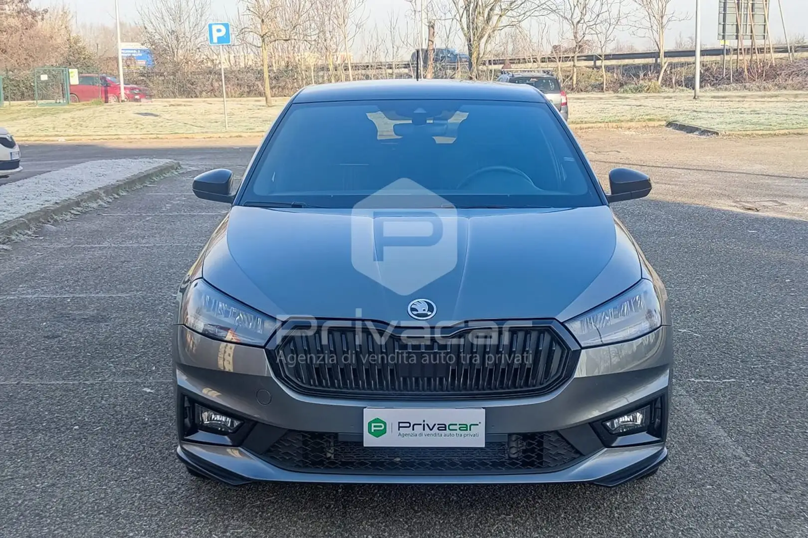 Skoda Fabia Fabia 1.0 TSI 115 CV Monte Carlo Argento - 2