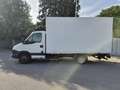Iveco Daily 35C15 LADEBORDWAND Neues Pickerl Tausch möglich - thumbnail 4